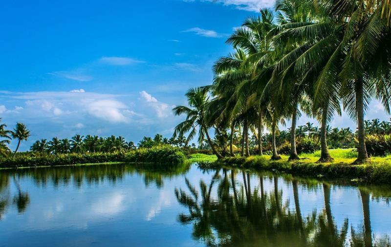 Sea Breeze Beach Home Alappuzha Ngoại thất bức ảnh