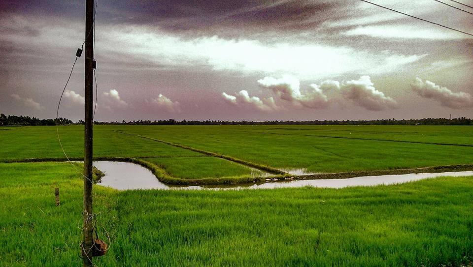 Sea Breeze Beach Home Alappuzha Ngoại thất bức ảnh