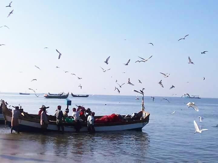 Sea Breeze Beach Home Alappuzha Ngoại thất bức ảnh